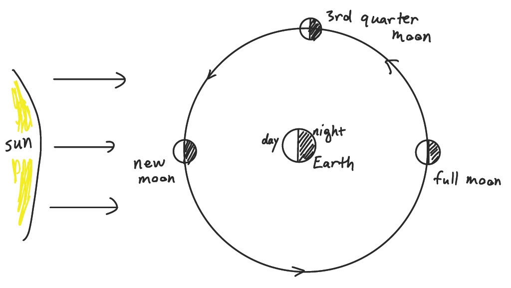 several points in the moon's orbit and accompanying lunar phases